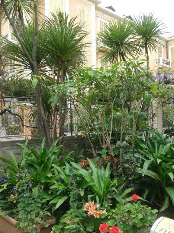 Fiorenza & Banksia Meuble 2* Alassio