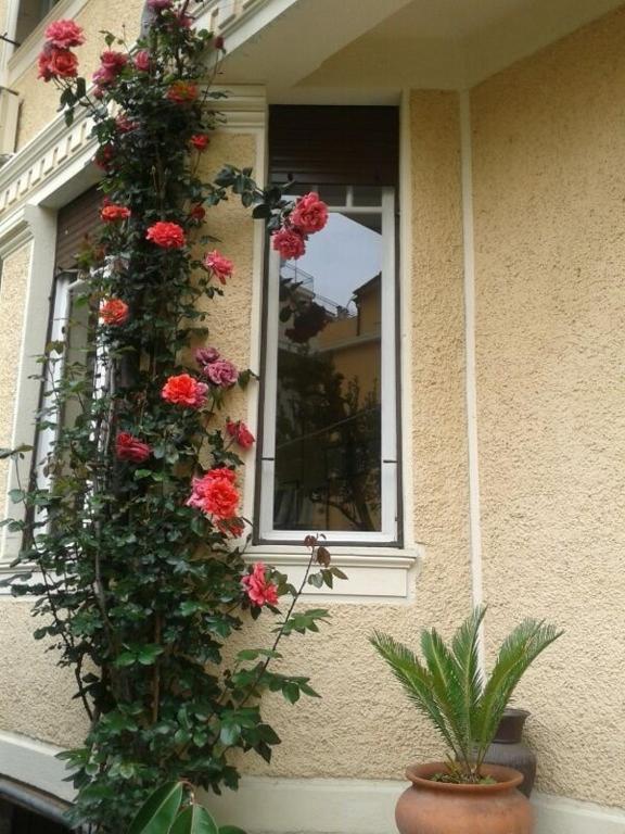 Fiorenza & Banksia Meuble Hotel Alassio