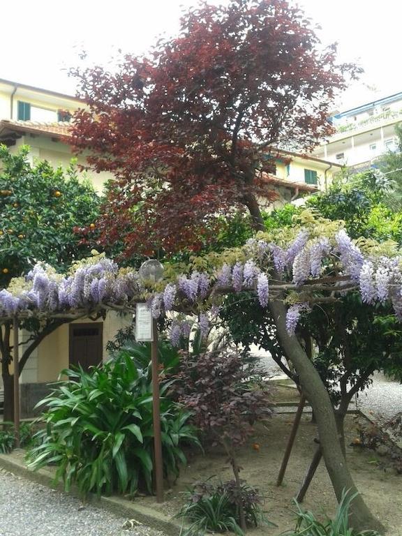 Fiorenza&banksia Meublè 2* Alassio